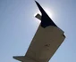 tarom   foto lucian muntean 19 JPG