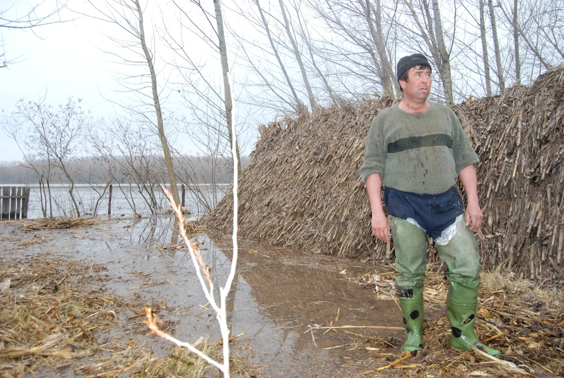 Dunărea a inundat grădinile sătenilor din comuna Garcov (Foto: Virgil Lăpădatu)