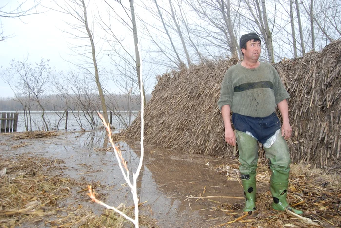 Dunărea a inundat grădinile sătenilor din comuna Garcov (Foto: Virgil Lăpădatu)