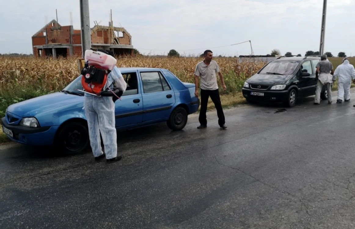 Zeci de focare de pestă în judeţul Călăraşi FOTO Adevărul