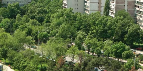 Chiriile au scăzut cu 25%