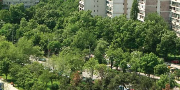 Chiriile au scăzut cu 25%