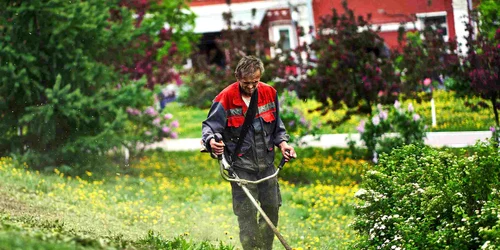 adevarul ro maxim tolchinskiy 5H0swzTVzrY unsplash jpg