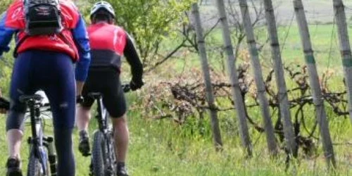 Satu Mare: La pas prin rezervaţia naturală „Râul Tur”