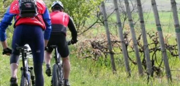 Satu Mare: La pas prin rezervaţia naturală „Râul Tur”