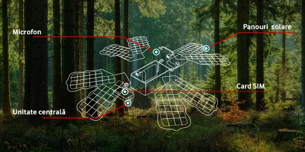 padure inteligenta vodafone proiect