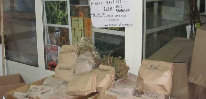 Plantele sunt vândute ca pâinea cadă
