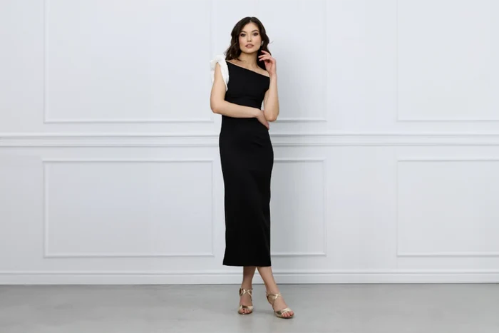 rochii de dama elegante png