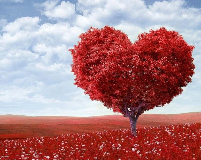 Horoscop 21 noiembrieFoto Instagram