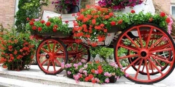 parada florilor satu mare