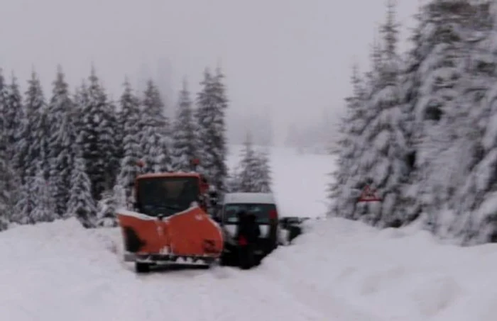 avalanse bucegi