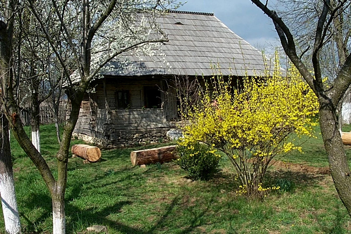 Casa lui Brâncuşi va fi vizitată de deţinuţi