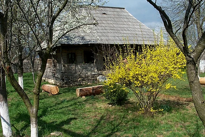 Casa lui Brâncuşi va fi vizitată de deţinuţi
