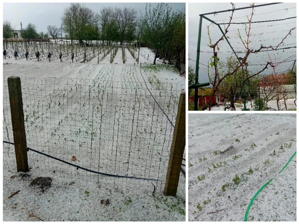 Totul s-a acoperit cu gheață în câteva minute FOTO: colaj foto localnici