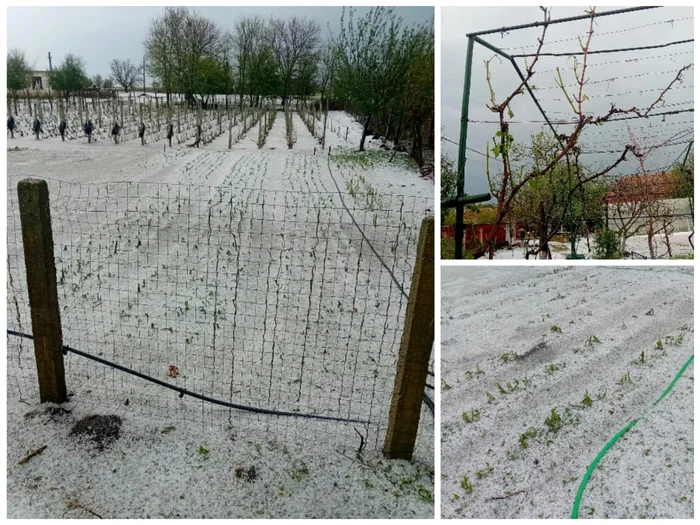 Totul s-a acoperit cu gheață în câteva minute FOTO: colaj foto localnici