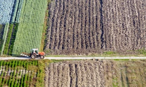 grecia agricultura/FOTO:X