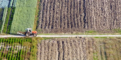 grecia agricultura/FOTO:X