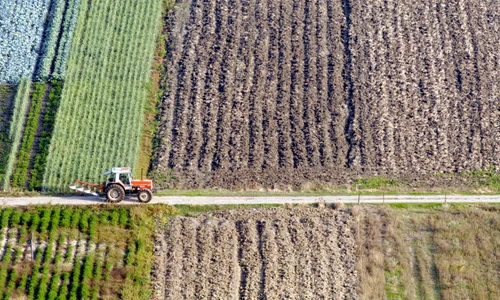 grecia agricultura/FOTO:X