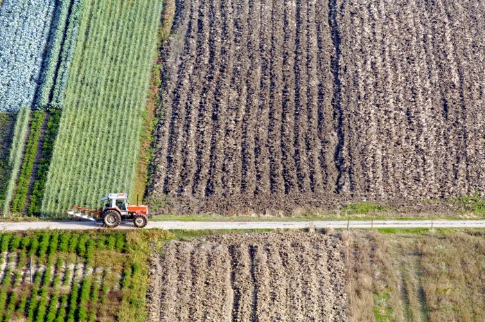 Utilizarea pesticidelor este o amenințare majoră pentru biosferă FOTO FOTO X