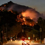 profimedia 0952718620 jpg