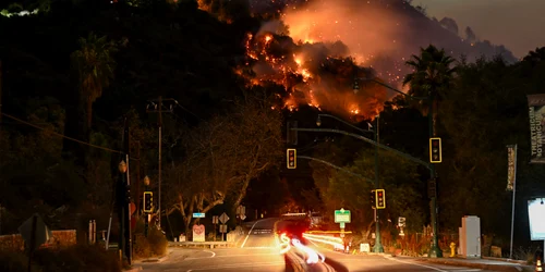 profimedia 0952718620 jpg