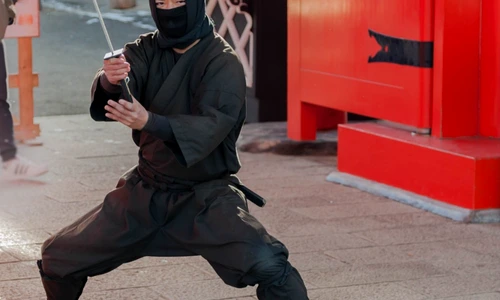 1 shutterstock 567147988 jpg jpeg