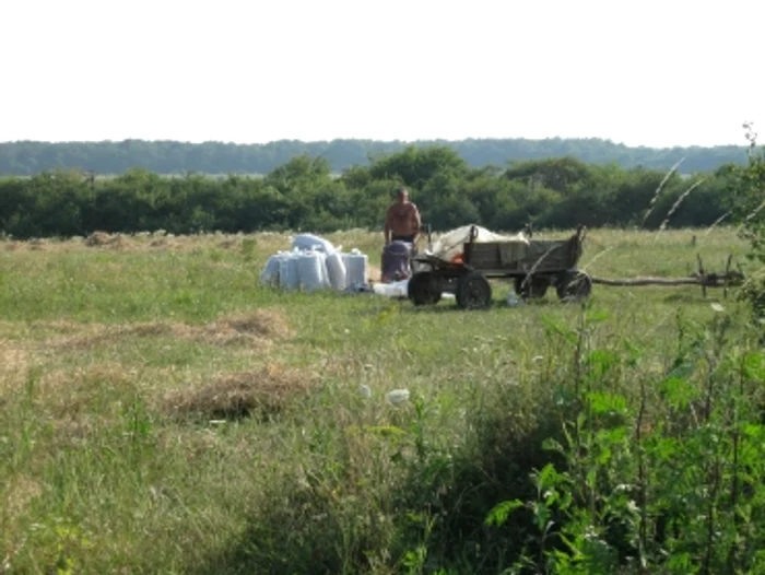 Oradea: Anul agricol 2009-2010 a pornit cu stângul