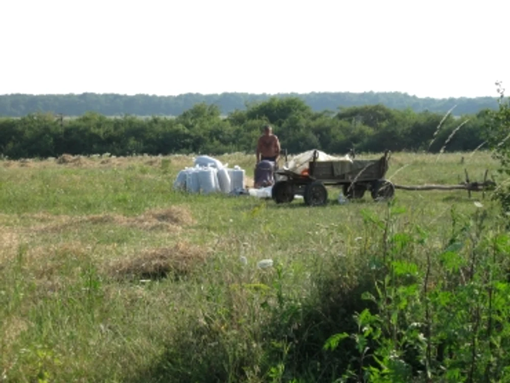 Oradea: Anul agricol 2009-2010 a pornit cu stângul