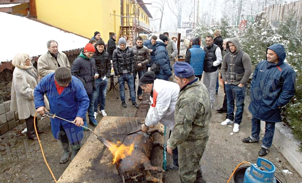 Jucătorii şi antrenorii Stelei au sărbătorit performanţele din acest sezon printr-o petrecere la care au sacrificat şi un porc (fotografii: Dorin Constanda)