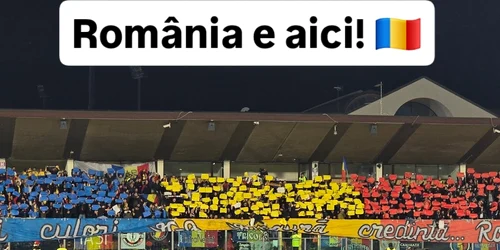 fanisan jpg