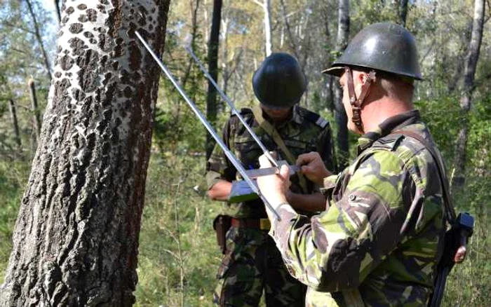 Ministerul Apărării infirmă existenţa vreunui proces de recrutare a tinerilor FOTO Adevărul