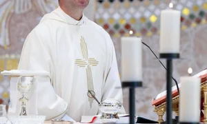 francisc dobos jpeg