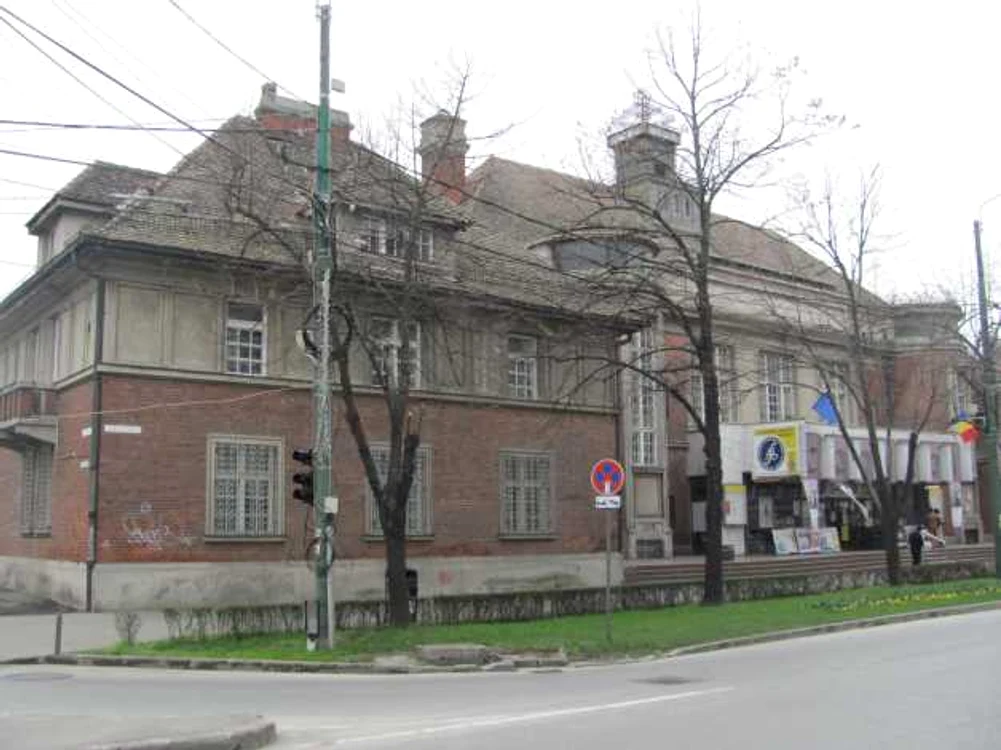 Cinematografe în Timişoara