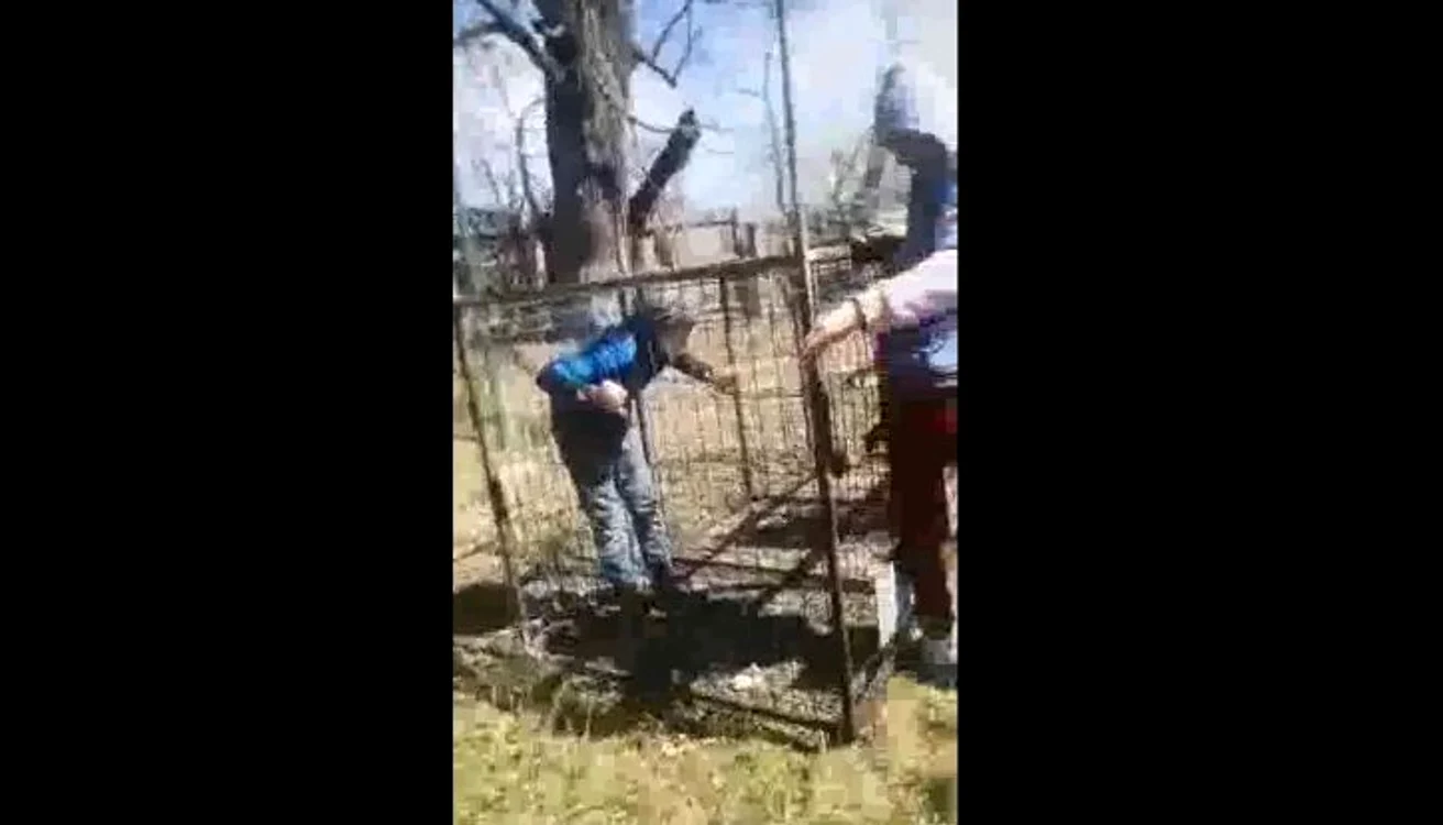Băiatul a fost bagat în cușcă de colegi și bătut cu bețe FOTO captură video
