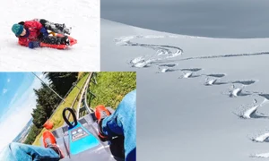 sania de vara colaj Facebook pixabay jpg