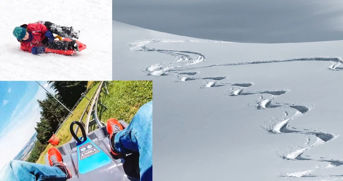 Cum va arăta „Sania de vară” din Poiana Brașov? / Foto: Colaj Facebook/Pixabay