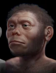 Reconstituire ipotetică a unui individ din specia Homo floresiensis (© Cicero Moraes /  Wikimedia Commons)
