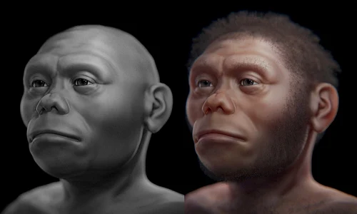 Reconstituire ipotetică a unui individ din specia Homo floresiensis (© Cicero Moraes /  Wikimedia Commons)