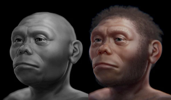 Reconstituire ipotetică a unui individ din specia Homo floresiensis (© Cicero Moraes /  Wikimedia Commons)
