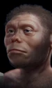 Reconstituire ipotetică a unui individ din specia Homo floresiensis (© Cicero Moraes / Wikimedia Commons)