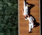 Cei doi și-au jurat iubire eternă în Grecia/sursă foto: instagram