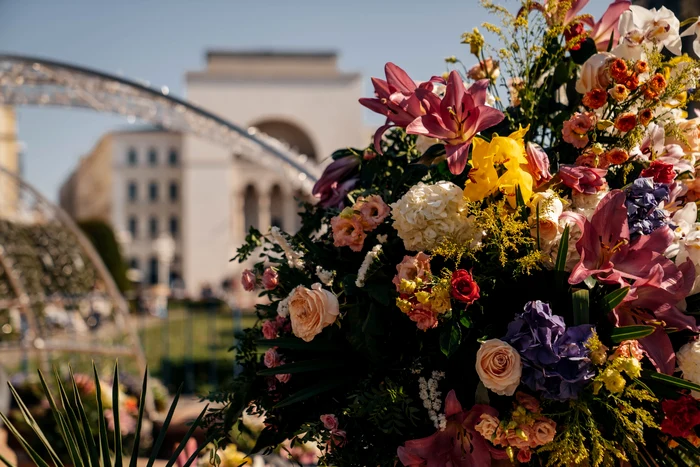 Timișoara, oraș al florilor FOTO PMT