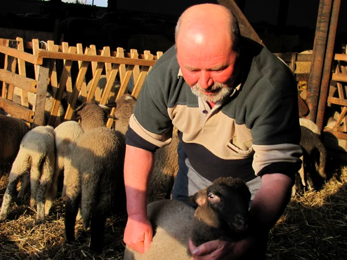George Popa, un fermier care pune preţ pe calitate FOTO I.S.