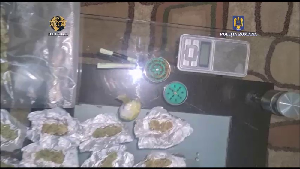 Grupare specializată în trafic de droguri de risc destructurată de procurorii DIICOT - VIDEO