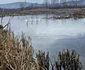 Lacul lebedelor de pe Râul Strei Foto Daniel Guță (51) jpg