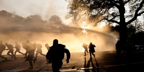 protest bruxelles parcul Bois de La Cambre foto afp