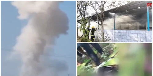 photo collage png   2026 04 19T185746 638 png