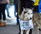 Lacrimi în ochii ucrainenilor care au protestat la Braşov FOTO Ioan Buciumar