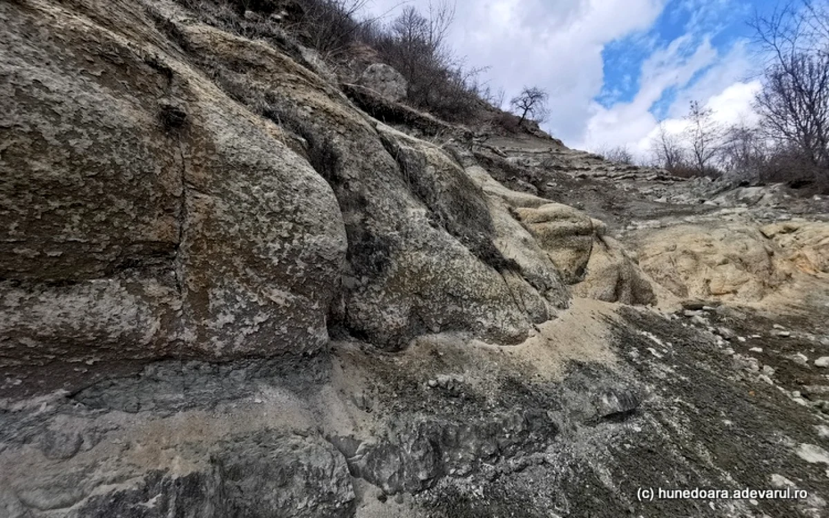 Locul unde au fost găsite primele fosile de dinozauri pitici. Foto: Daniel Guţă