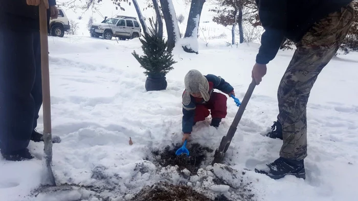 Salvarea brăduţilor de Crăciun FOTO Comunitatea Galaţi4x4